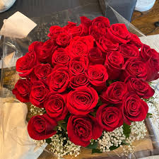 Rose Bundle 1